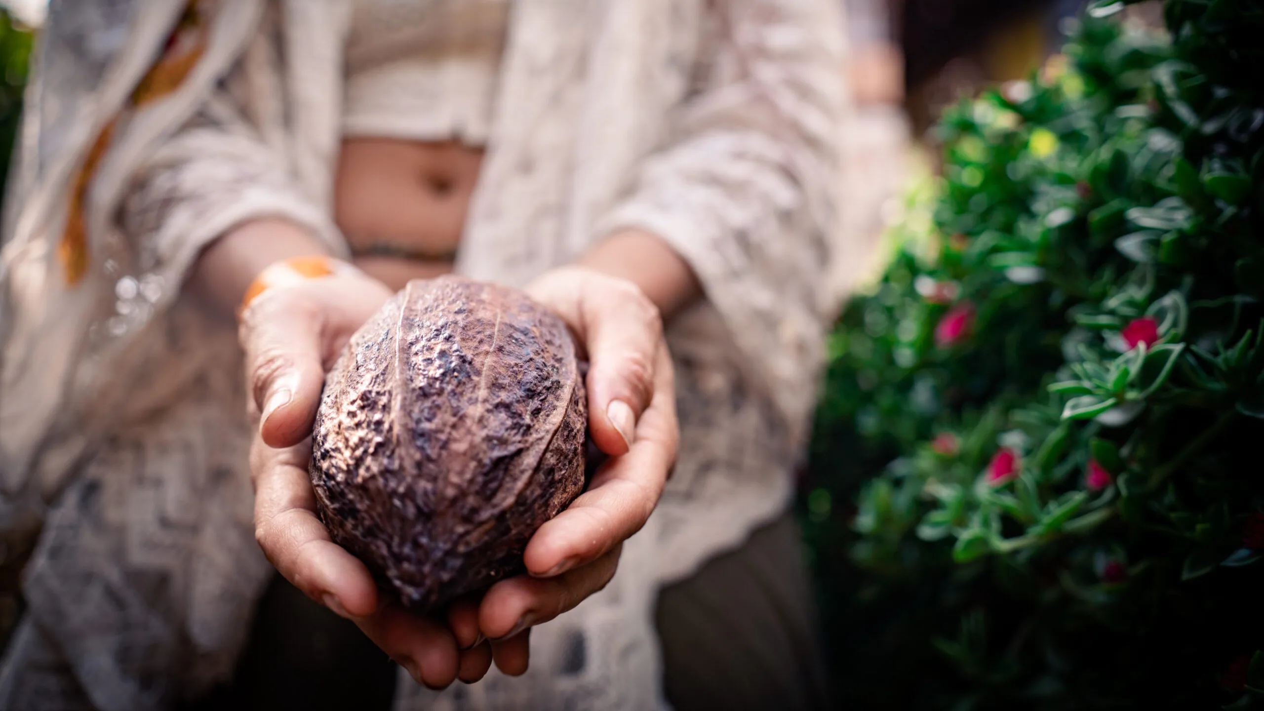 conexión con el cacao