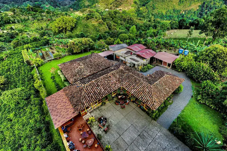 Finca de cacao