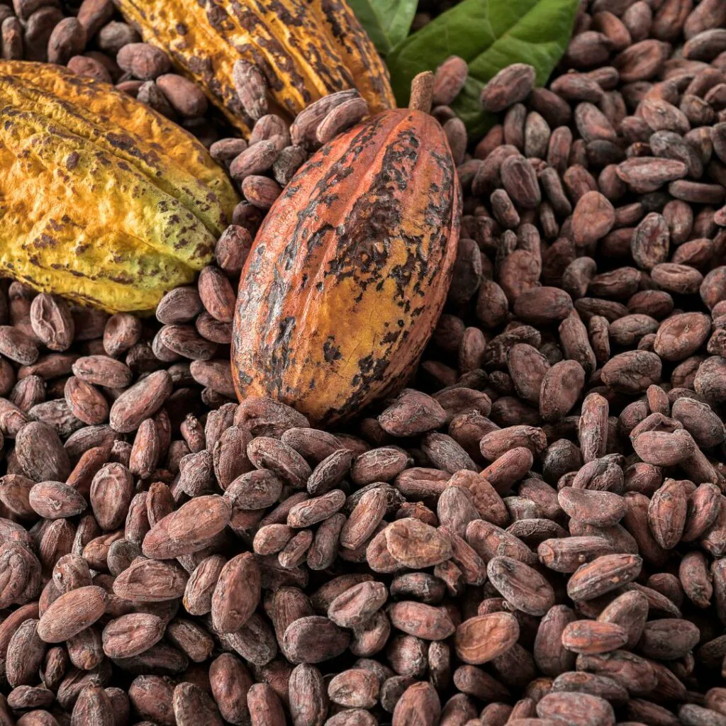 Granos de cacao