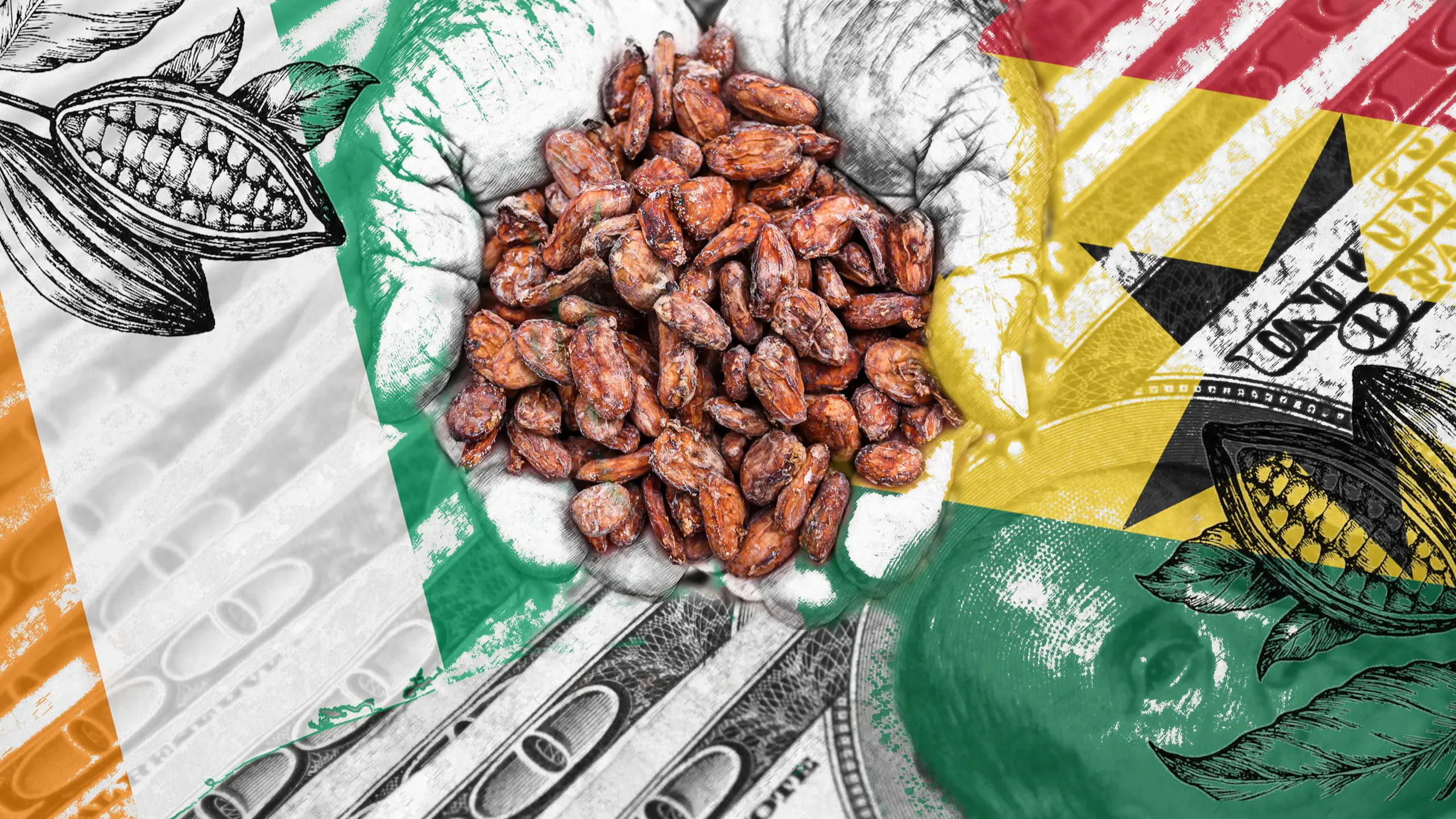 costos del cacao