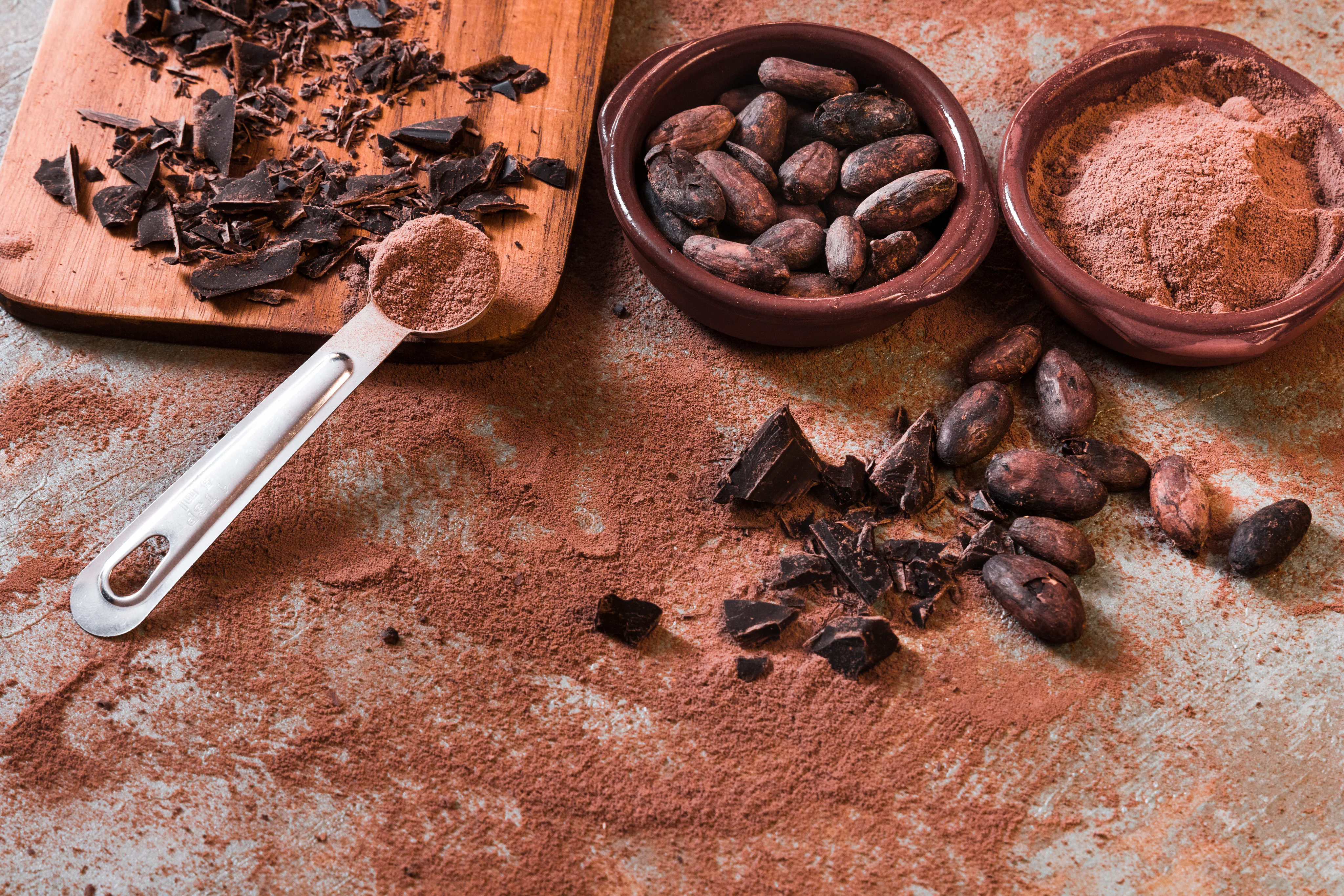 Los granos de cacao, la materia prima del cacao en polvo